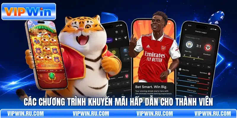 Các chương trình khuyến mãi hấp dẫn cho thành viên