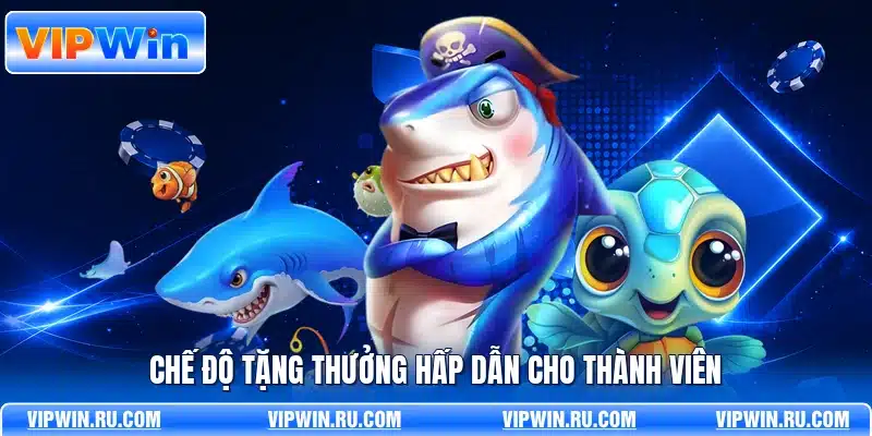 Chế độ tặng thưởng hấp dẫn cho thành viên