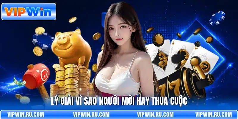 Lý giải vì sao người mới hay thua cuộc